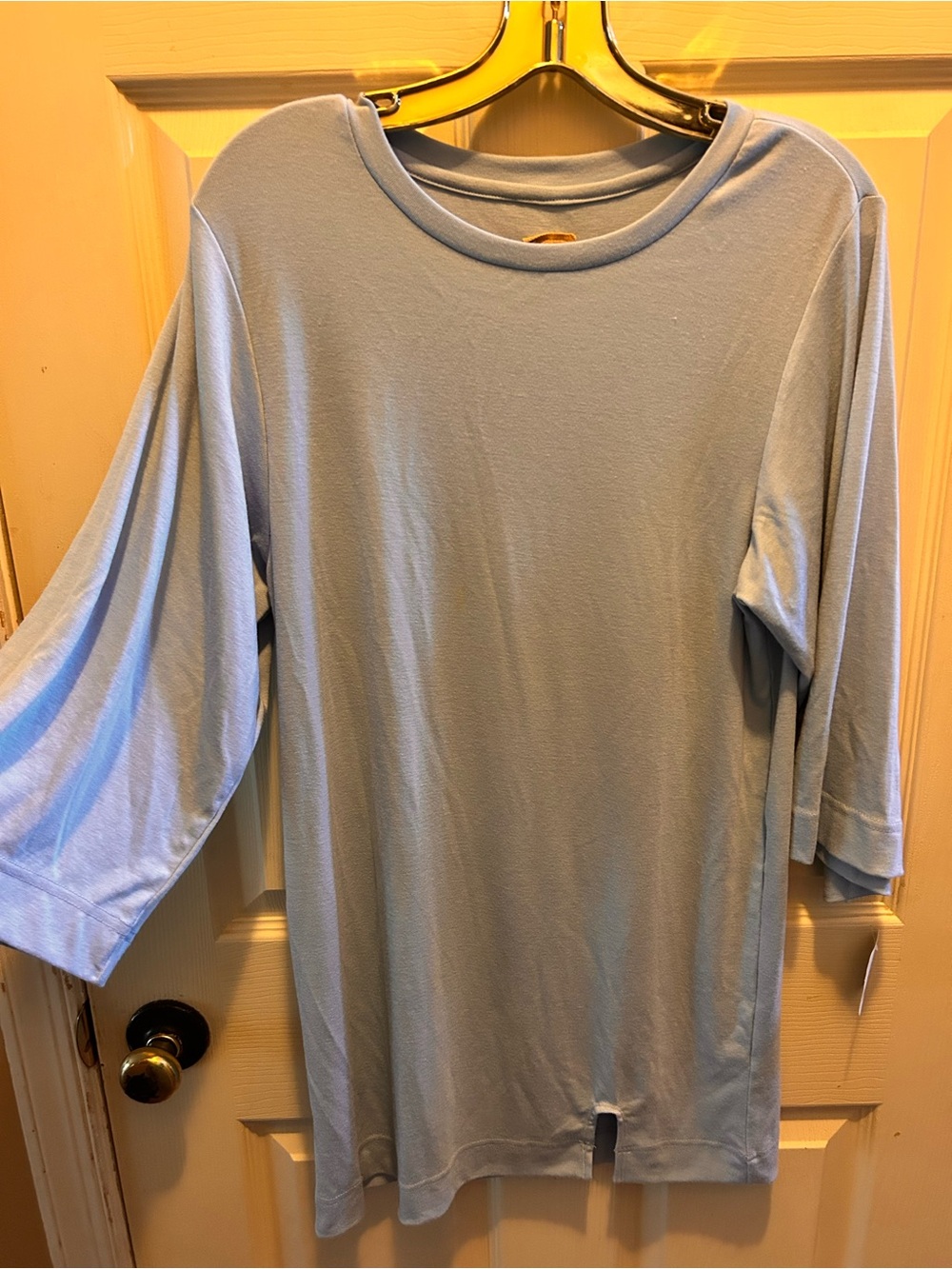 NWT Free People free-est Pale Blue Mini Dress with Crewneck Belle sleeves